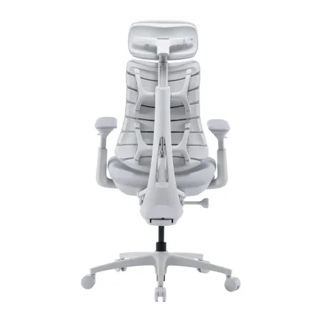 LiberNovo Omni Pro 45 cm Ergonomic Chair (White)